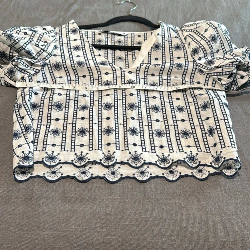 Zara Embroidered Top with Puff Sleeves